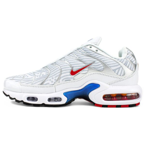 NK Air Max Plus Euro Tour Particle Grey - Image 2