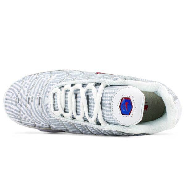 NK Air Max Plus Euro Tour Particle Grey - Image 4